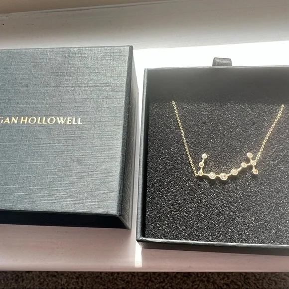 Logan Hollowell Gemini Constellation Ring Capricorn Constellation